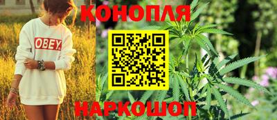 тгк Пугачёв